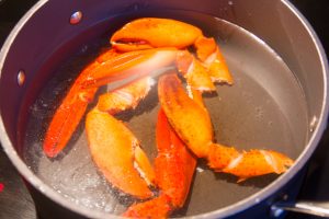 Pochez le corps des homards puis leurs pinces dans une eau parfumée au bouillon de crustacés