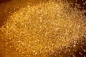 Puis torréfiez les graines de sarrasin à 180° au four pendant 10 mn