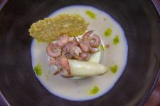 Bavarois d'asperge, crevettes grises et parmesan